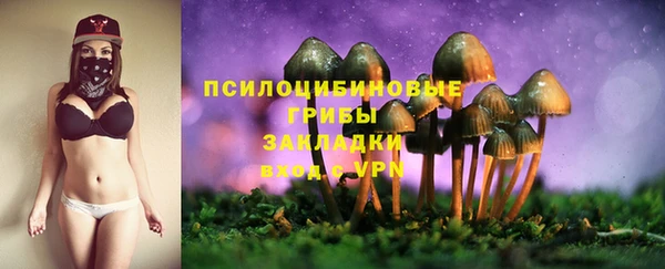 соль ск Зерноград