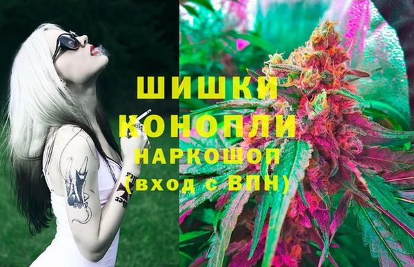 соль ск Зерноград