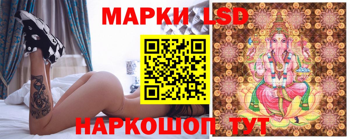 даркнет сайт  Вход с VPN  Камень-на-Оби  Марки NBOMe 1,5мг 