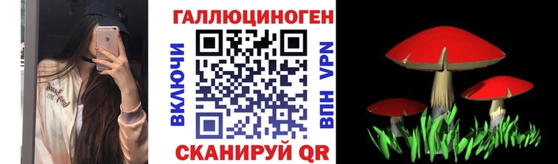 купить   Камень-на-Оби  Галлюциногенные грибы Psilocybine cubensis 