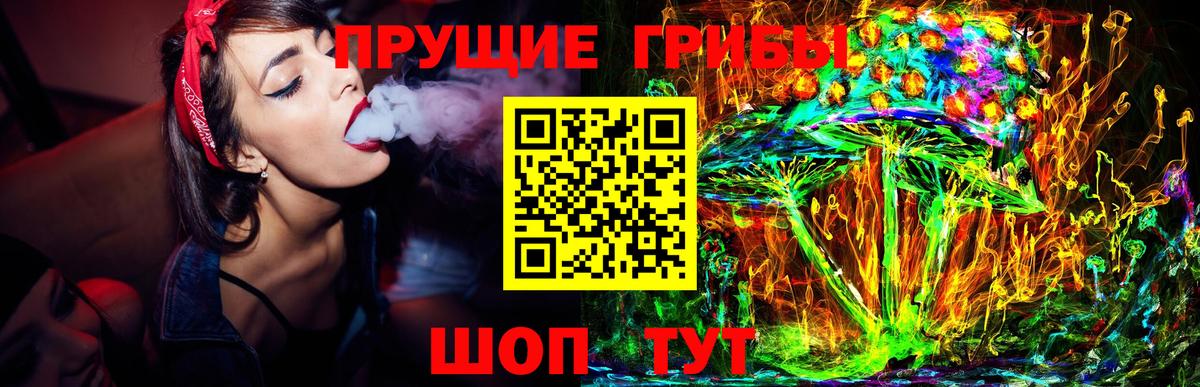 Галлюциногенные грибы прущие грибы  Вход с VPN  Камень-на-Оби  Псилоцибиновые грибы Magic Shrooms 